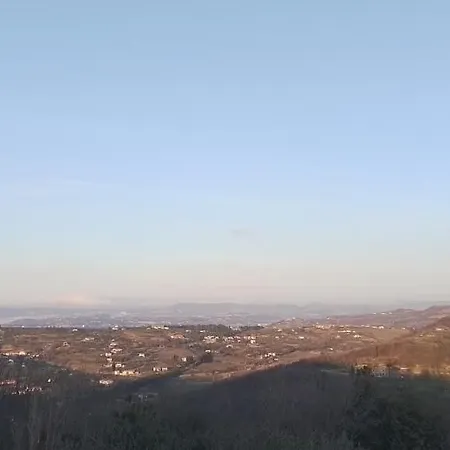 Διαμέρισμα Olive Gardens