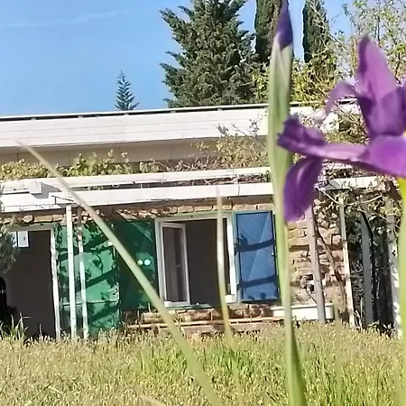 Olive Gardens Διαμέρισμα *
