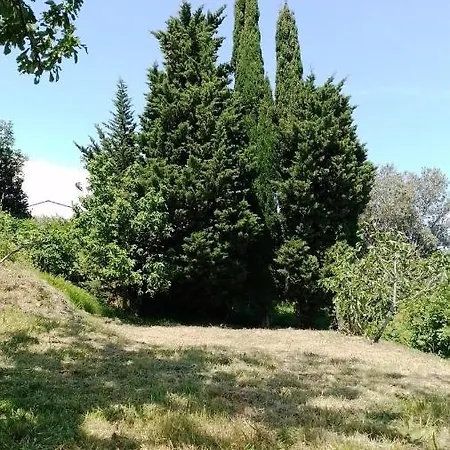 Olive Gardens * Πορτορόζ