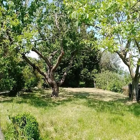 Διαμέρισμα Olive Gardens *