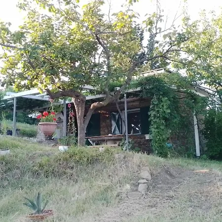 Olive Gardens Διαμέρισμα *